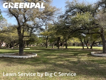 Lawn Mow nearby Georgetown, TX, 