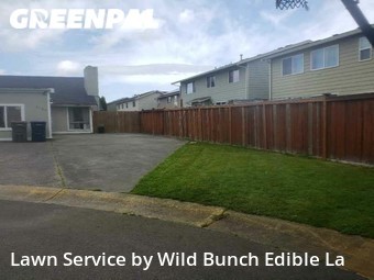 Lawn Mowing Service nearby Auburn, WA, 