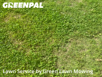Lawn Cutting nearby Kansas City, KS, 