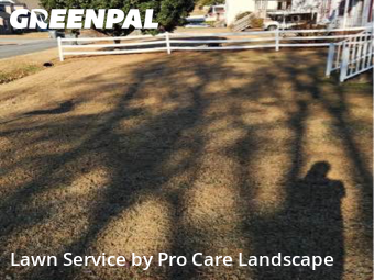 Lawn Cut nearby Kannapolis, NC, 