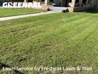 Lawn Mowing nearby Seguin, TX, 