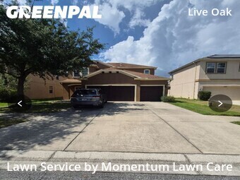 Yard Cutting nearby Tampa, FL, 