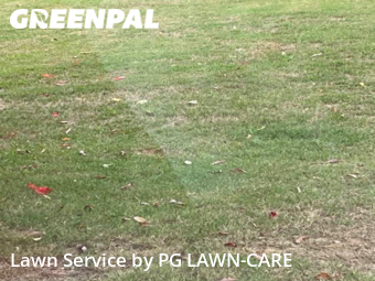 Lawn Cut nearby Snellville, GA, 