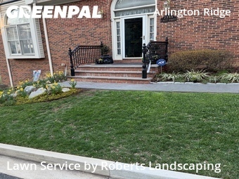 Lawn Care nearby Arlington, VA, 