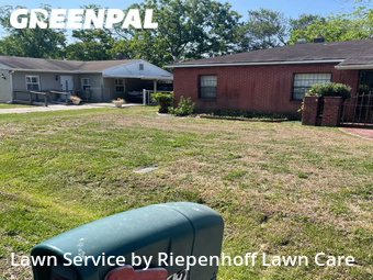 Lawn Mow nearby Tampa, FL, 