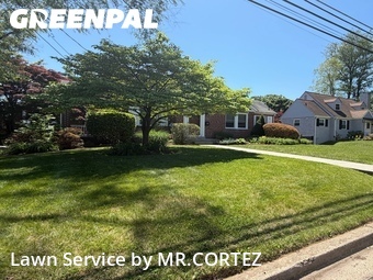 Grass Cutting nearby Silver Spring, MD, 
