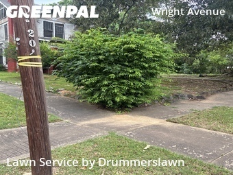 Grass Cutting nearby Little Rock, AR, 