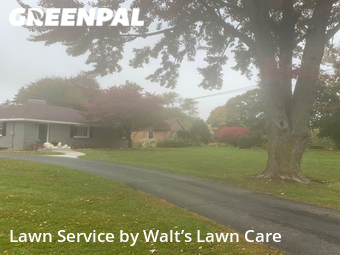 Lawn Service nearby Grand Rapids, MI, 