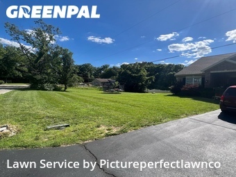 Lawn Cut nearby Antonia, MO, 