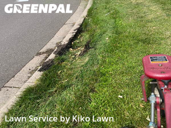 Yard Cutting nearby Minneapolis, MN, 