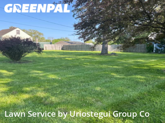 Weed Trimming in Wadsworth, 60083, Lawn Maintenance by Uriostegui Group Co, work completed in Dec , 2025