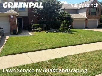 Grass Cuttingin Irving,75063,Lawn Mowing Service by Alfas Landscaping, work completed in Jun , 2026