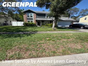 Lawn Care Servicein Pine Hills,32818,Lawn Maintenance by Alvarez Lawn Company, work completed in Dec , 2025