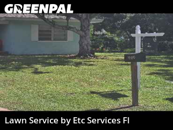 Lawn Carein Dunedin,34698,Lawn Mow by Etc Services Fl, work completed in Jan , 2026