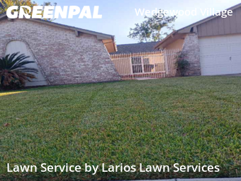 Yard Cuttingin Friendswood,77546,Lawn Mow by Larios Lawn Services, work completed in Nov , 2025