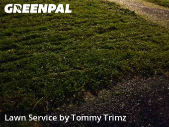 Lawn Cutting nearby Rochester, NY, 