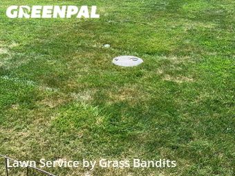 Lawn Care Service nearby Billings, MT, 