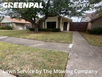 Lawn Cut nearby Mesquite, TX, 