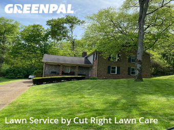 Grass Cut nearby Brentwood, TN, 