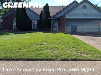 Yard Cutting nearby Horn Lake, MS, 