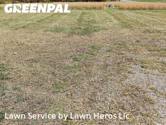 Grass Cutting nearby Greensboro, NC, 