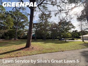 Yard Services in Naples, 34119, Yard Upkeep by Silva's Great Lawn S, work completed in Dec , 2025