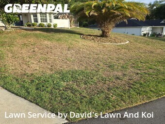 Lawn Cut nearby Lady Lake, FL, 