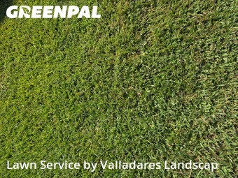 Lawn Care Servicein Conroe,77306,Grass Cut by Valladares Landscap, work completed in Dec , 2025