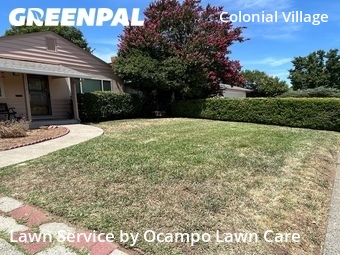 Lawn Mow nearby Sacramento, CA, 