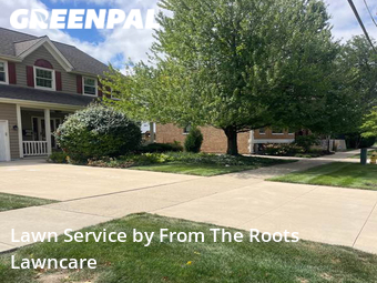Yard Mowing nearby Elmhurst, IL, 