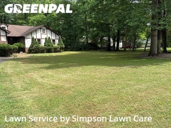 Lawn Cutting nearby Matthews, SC, 