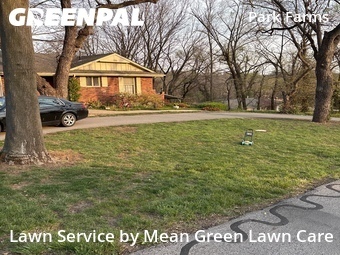 Grass Cut nearby Kansas City, MO, 