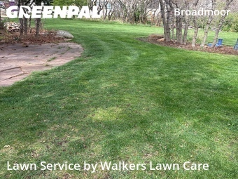 Grass Cutting nearby Colorado Springs, CO, 