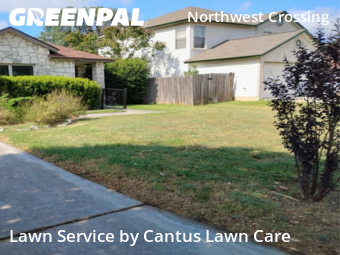 Lawn Cut nearby San Antonio, TX, 
