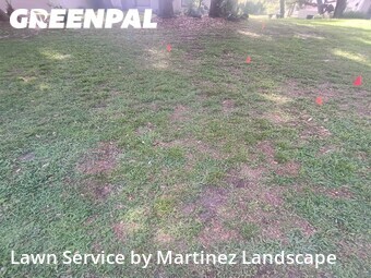 Lawn Mow nearby Leesburg, FL, 