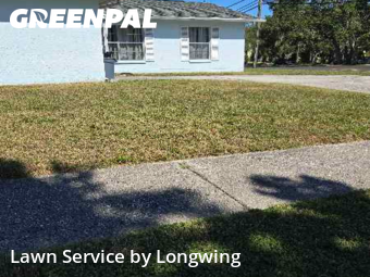 Lawn Cut nearby Largo, FL, 