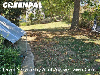 Lawn Management in Bethel Park, 15102, Yard Services by Acut Above Lawn Care, work completed in Nov , 2025