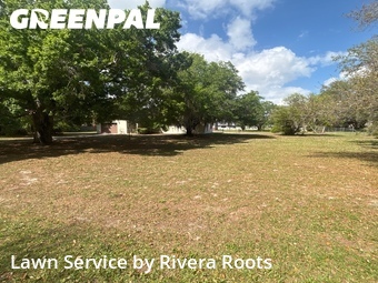 Lawn Cutting nearby Kissimmee, FL, 