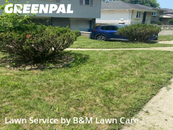 Yard Management in Gary, 46406, Garden Trimming by B&M Lawn Care, work completed in Oct , 2025