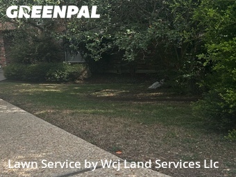 Lawn Mowing nearby New Braunfels, TX, 