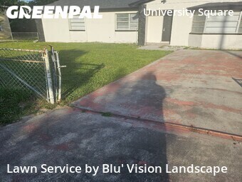 Grass Cut nearby Tampa, FL, 