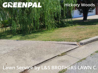 Yard Cutting nearby Nashville, TN, 