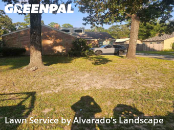 Yard Cuttingin Conroe,77304,Yard Cutting by Alvarado's Landscape, work completed in Nov , 2025