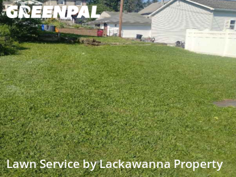 Grass Cut nearby Scranton, PA, 