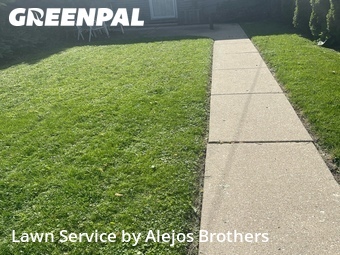 Yard Cuttingin Evanston,60201,Lawn Cut by Alejos Brothers, work completed in Jun , 2026