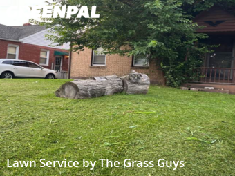 Grass Cutting nearby Granite City, IL, 