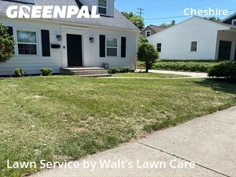 Yard Cutting nearby Grand Rapids, MI, 