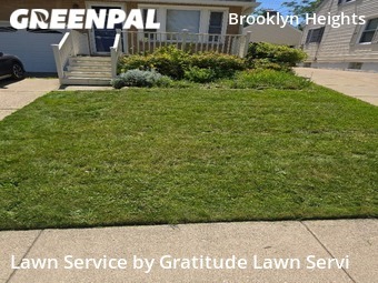 Yard Mowing nearby Buffalo, NY, 