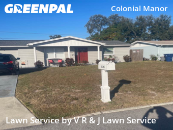 Lawn Cut nearby New Port Richey, FL, 