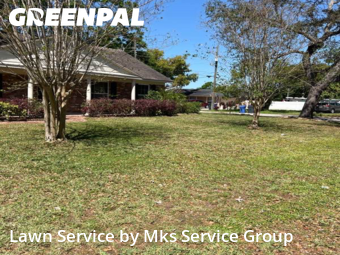 Yard Cutting nearby Tampa, FL, 